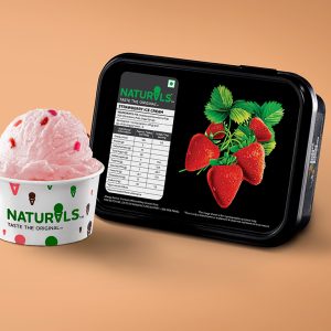 STRAWBERRY Ice Cream